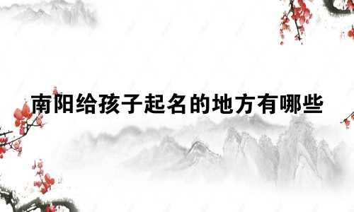 南阳给孩子起名的地方有哪些