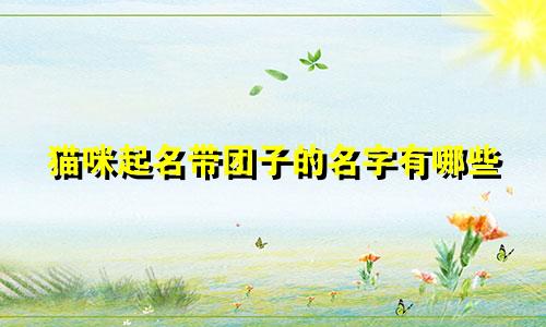 猫咪起名带团子的名字有哪些