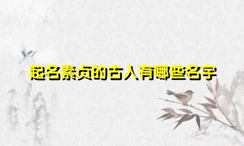 起名素贞的古人有哪些名字