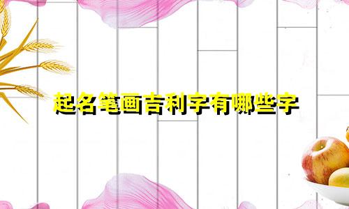 起名笔画吉利字有哪些字