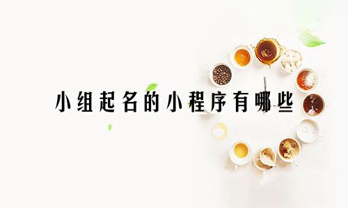 小组起名的小程序有哪些