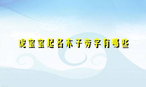 虎宝宝起名木子旁字有哪些