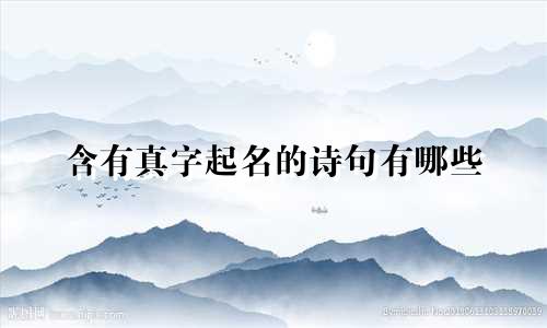 含有真字起名的诗句有哪些