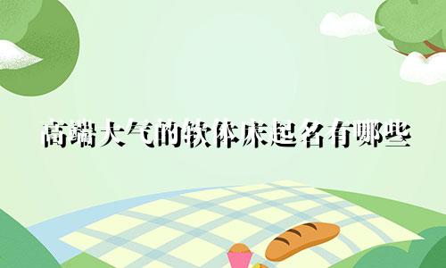 高端大气的软体床起名有哪些