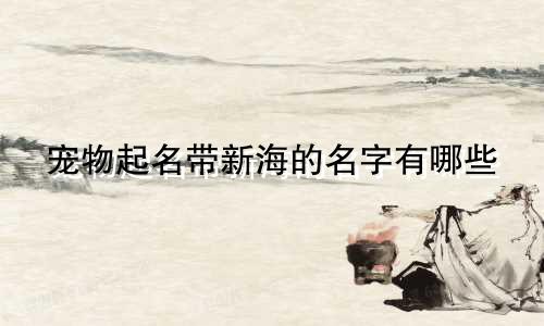 宠物起名带新海的名字有哪些