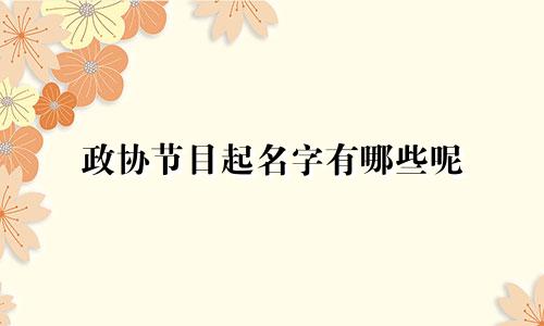 政协节目起名字有哪些呢
