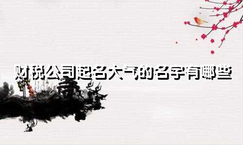 财税公司起名大气的名字有哪些