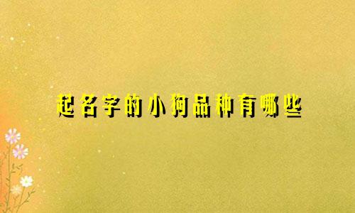 起名字的小狗品种有哪些