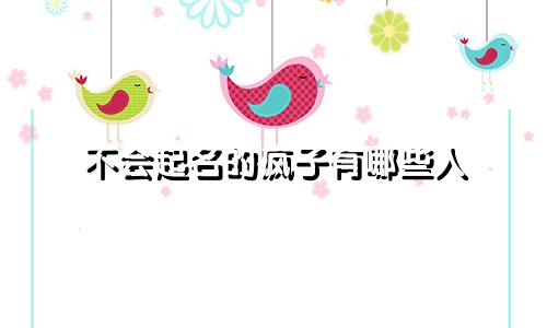 不会起名的疯子有哪些人