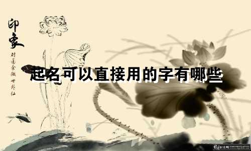 起名可以直接用的字有哪些