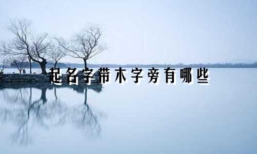 起名字带木字旁有哪些