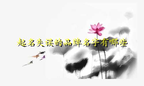 起名失误的品牌名字有哪些