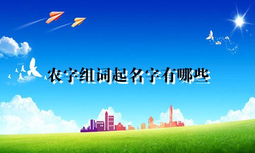农字组词起名字有哪些