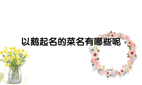 以鹅起名的菜名有哪些呢