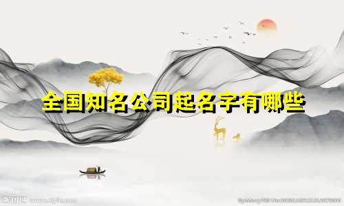 全国知名公司起名字有哪些