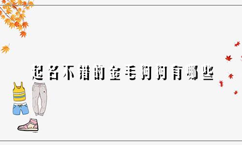 起名不错的金毛狗狗有哪些