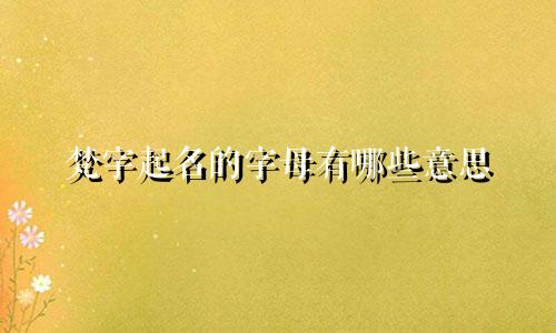 梵字起名的字母有哪些意思
