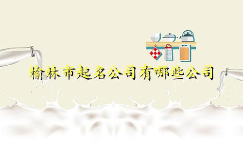榆林市起名公司有哪些公司