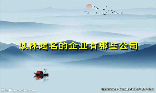 以林起名的企业有哪些公司