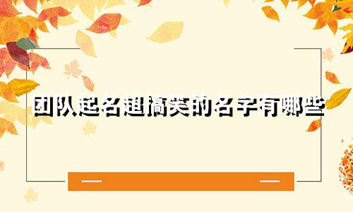 团队起名超搞笑的名字有哪些