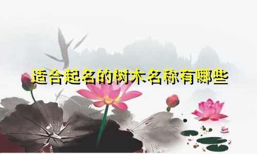 适合起名的树木名称有哪些