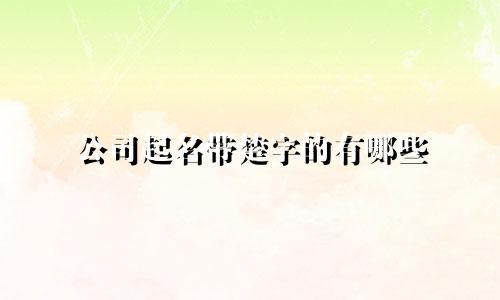 公司起名带楚字的有哪些