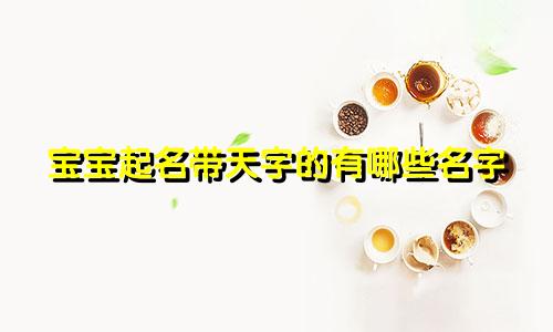 宝宝起名带天字的有哪些名字