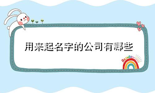用来起名字的公司有哪些