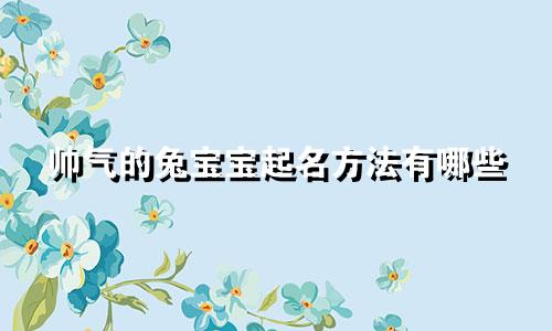 帅气的兔宝宝起名方法有哪些