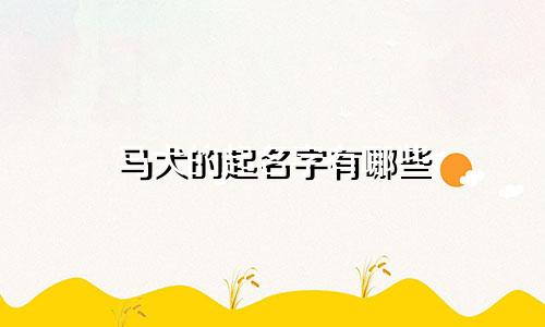 马犬的起名字有哪些