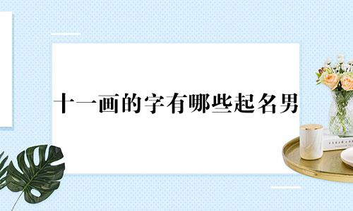 十一画的字有哪些起名男