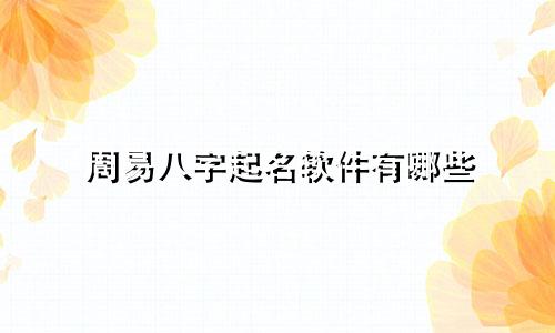 周易八字起名软件有哪些