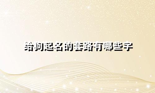 给狗起名的套路有哪些字