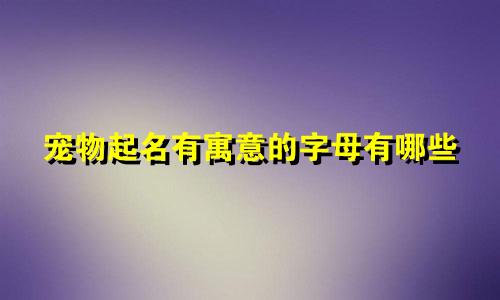 宠物起名有寓意的字母有哪些