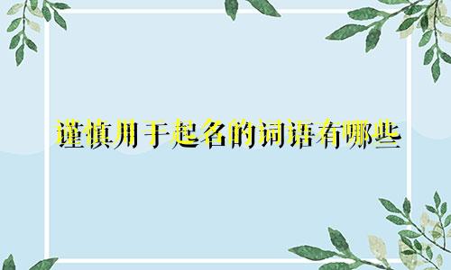 谨慎用于起名的词语有哪些
