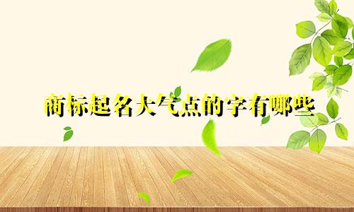 商标起名大气点的字有哪些