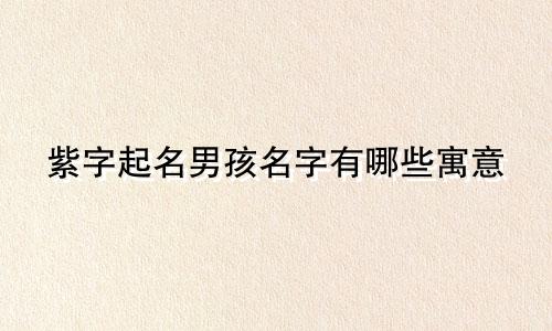 紫字起名男孩名字有哪些寓意