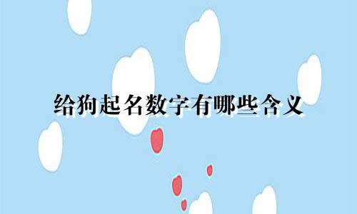 给狗起名数字有哪些含义