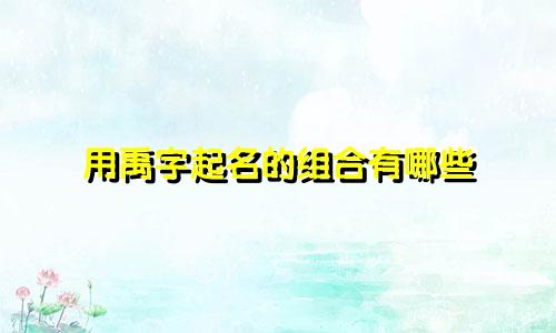 用禹字起名的组合有哪些