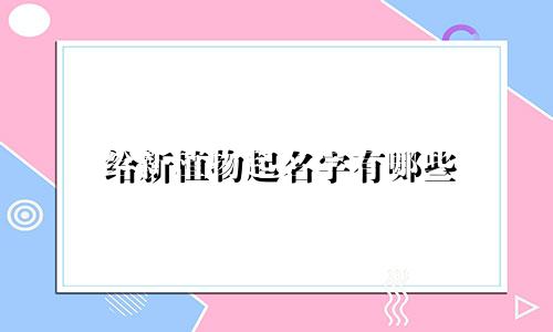 给新植物起名字有哪些