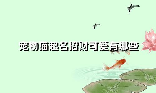 宠物猫起名招财可爱有哪些