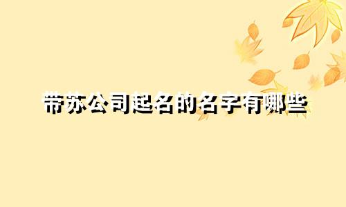 带苏公司起名的名字有哪些