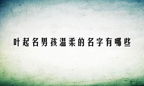 叶起名男孩温柔的名字有哪些