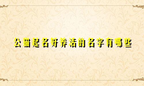 公猫起名好养活的名字有哪些