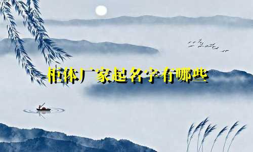 柜体厂家起名字有哪些