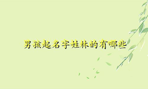 男孩起名字姓林的有哪些