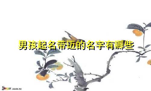 男孩起名带迈的名字有哪些