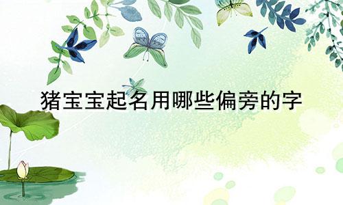 猪宝宝起名用哪些偏旁的字