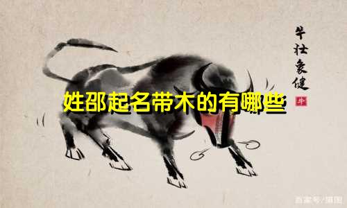 姓邵起名带木的有哪些