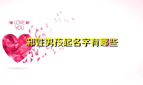 邾姓男孩起名字有哪些